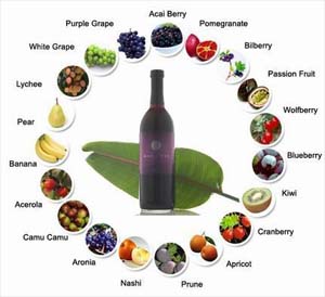 Antioxidant antioxidant