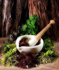 Herbal Nutrition Supplement herbal_nutrition_supplement