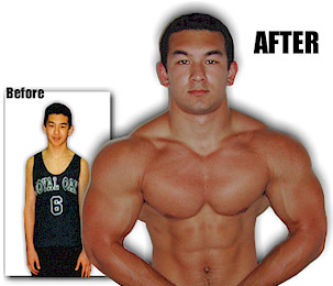 Muscle Building muscle_building